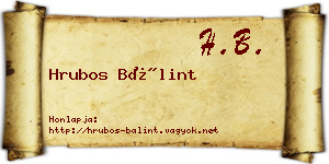 Hrubos Bálint névjegykártya
