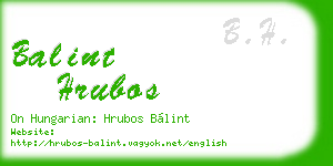 balint hrubos business card